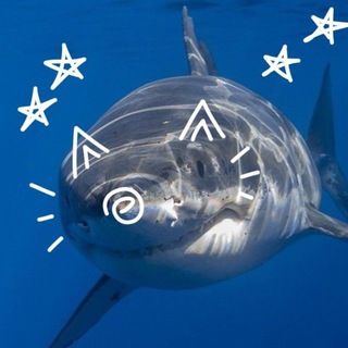 Telegram profile photo for Brain References