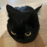 Telegram profile photo for чингиз