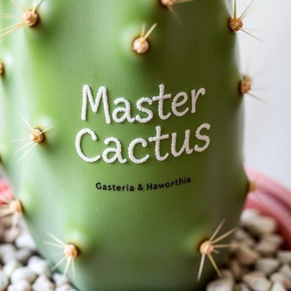 Telegram profile photo for 🌹Mastercactus gasteria & haworthia🌹