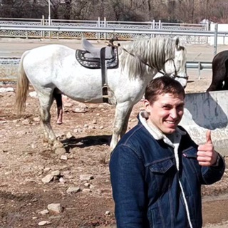 Telegram profile photo for Схрон