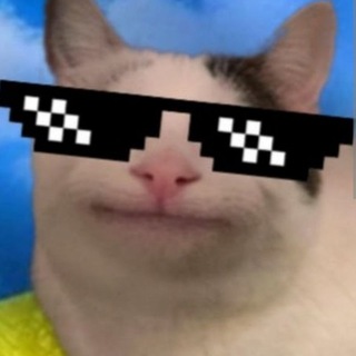 Telegram profile photo for Смешниє моменти нашой дружби