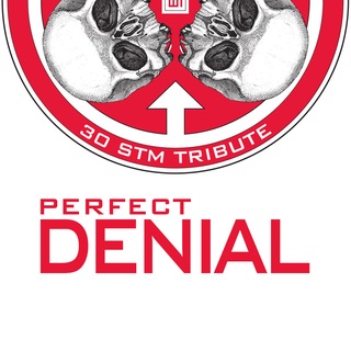 Telegram profile photo for Perfect Denial / 30 Seconds To Mars Tribute