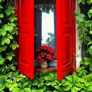 Telegram profile photo for شمعدونی