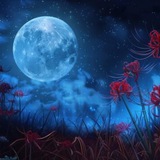 Telegram profile photo for Spider lily