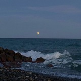 Telegram profile photo for океан 🌊