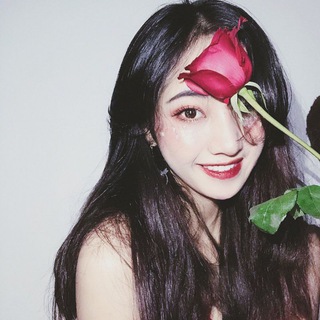 Telegram profile photo for 深圳各区修车4米起
