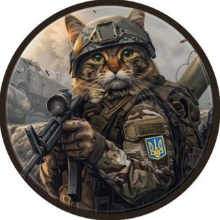 Telegram profile photo for Петрович