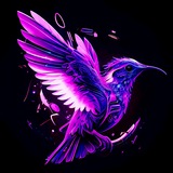 Telegram profile photo for KOLIBRI