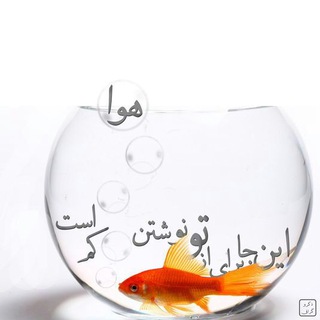 Telegram profile photo for شعر؛علیه السلام