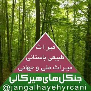 Telegram profile photo for جنگلهای هیرکانی