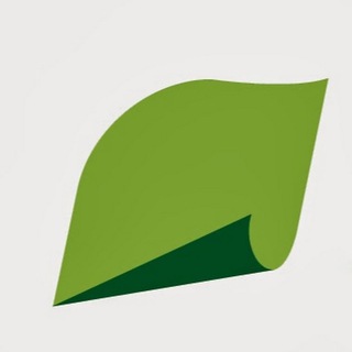 Telegram profile photo for Группа «Илим»