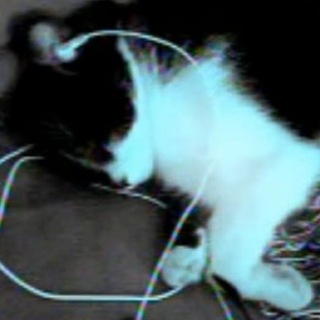 Telegram profile photo for — Just Music