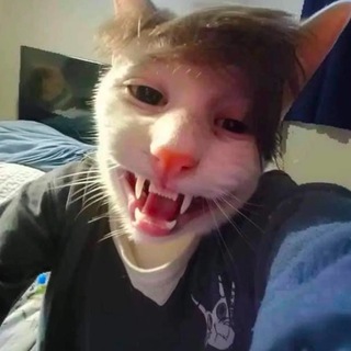 Telegram profile photo for MAKUKA