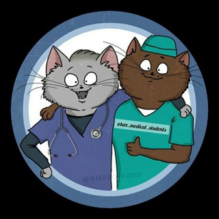 Telegram profile photo for kaz_medical_students ๐ฐ๐ฟ๐