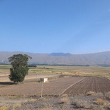 Telegram profile photo for کانال رسمی ومعتبر دونیق