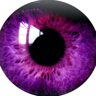 Telegram profile photo for Domestic Surveillance Exposed 👁