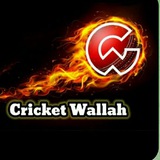 Telegram profile photo for Cricket Wallah