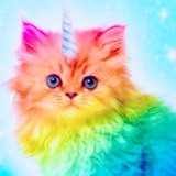 Telegram profile photo for аквариумная акси