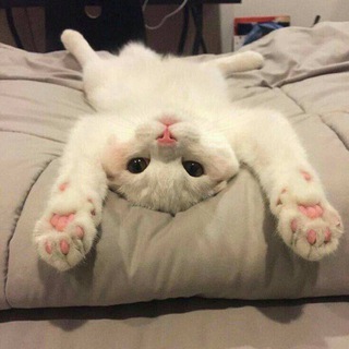 Telegram profile photo for EUGENE