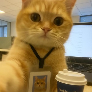 Telegram profile photo for РАБОТА ДЛЯ ВСЕХ!