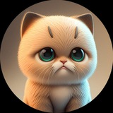 Telegram profile photo for Chitkitten | 2% REFLECTION
