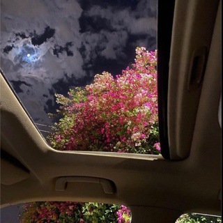 Telegram profile photo for بذِكر الله تطمئِـن القلوب .