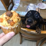 Telegram profile photo for юз для флуда