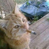 Telegram profile photo for Курилка 🚬