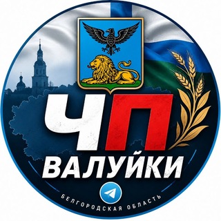 Telegram profile photo for ЧП Валуйки 🇷🇺