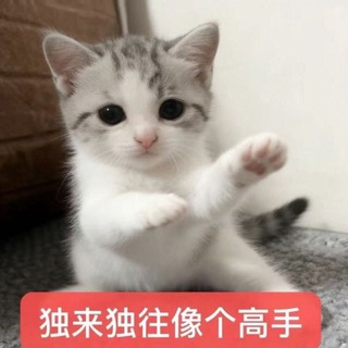 Telegram profile photo for 一零年最锋利的剑