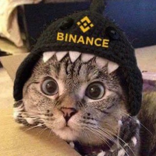 Telegram profile photo for $SC Shark Cat Memes 🦈😼
