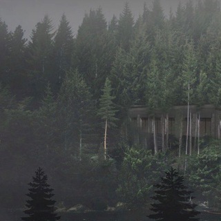 Telegram profile photo for QLiga Wayward Pines 04.04.2020 F5