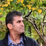 Telegram profile photo for سید مهرداد افضلی