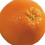 Telegram profile photo for MANDARIN