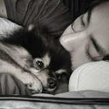 Telegram profile photo for péché d'amour
