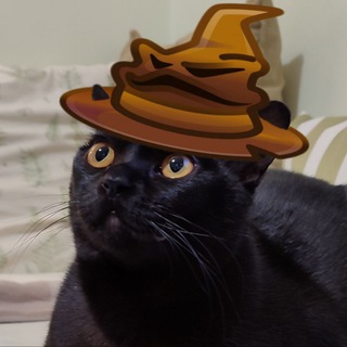 Telegram profile photo for Kiki's Bunker