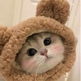 Telegram profile photo for Варежки