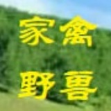 Telegram profile photo for 澳门家禽野兽