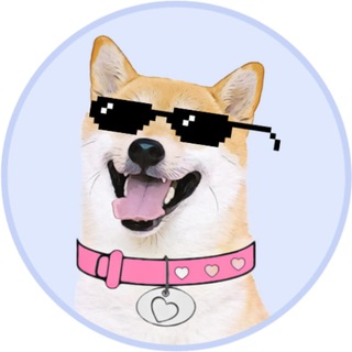 Telegram profile photo for DogeGF Memes