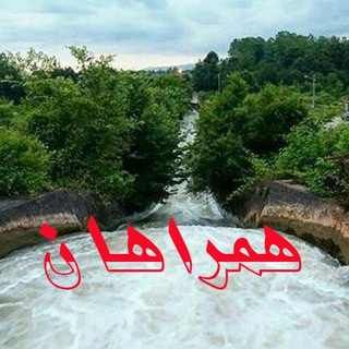 Telegram profile photo for همراهان