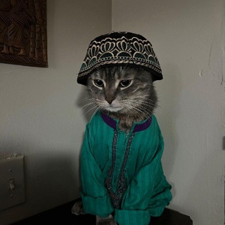 Telegram profile photo for Only gen ads
