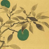 Telegram profile photo for Fruits Of Ryoshi Portal