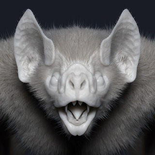Telegram profile photo for Лігво кажана 🦇