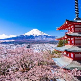 Telegram profile photo for fujiyamatap๐ป announce๐ป