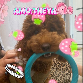 Telegram profile photo for 𝐀𝐌𝐔.THEYA 🎀