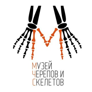 Telegram profile photo for Музей Черепов и Скелетов (МЧС)