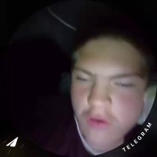 Telegram profile photo for Багдан шнеля