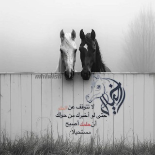 Telegram profile photo for خيـل 𓃗