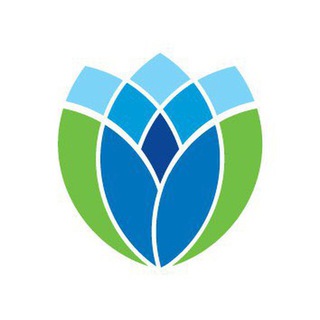 Telegram profile photo for صندوق سرمایه گذاری امین سامان رشد