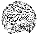 Telegram profile photo for БЕСПЕРЕЧЬ